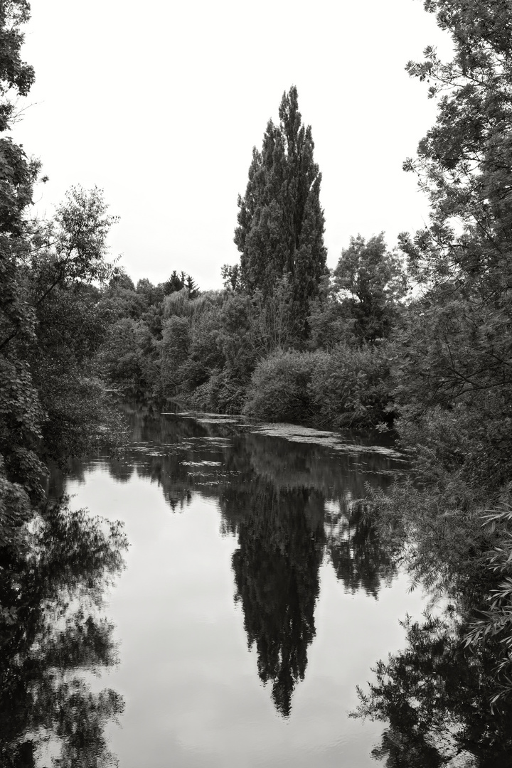 die Leine auf Höhe Maschsee, Hannover 