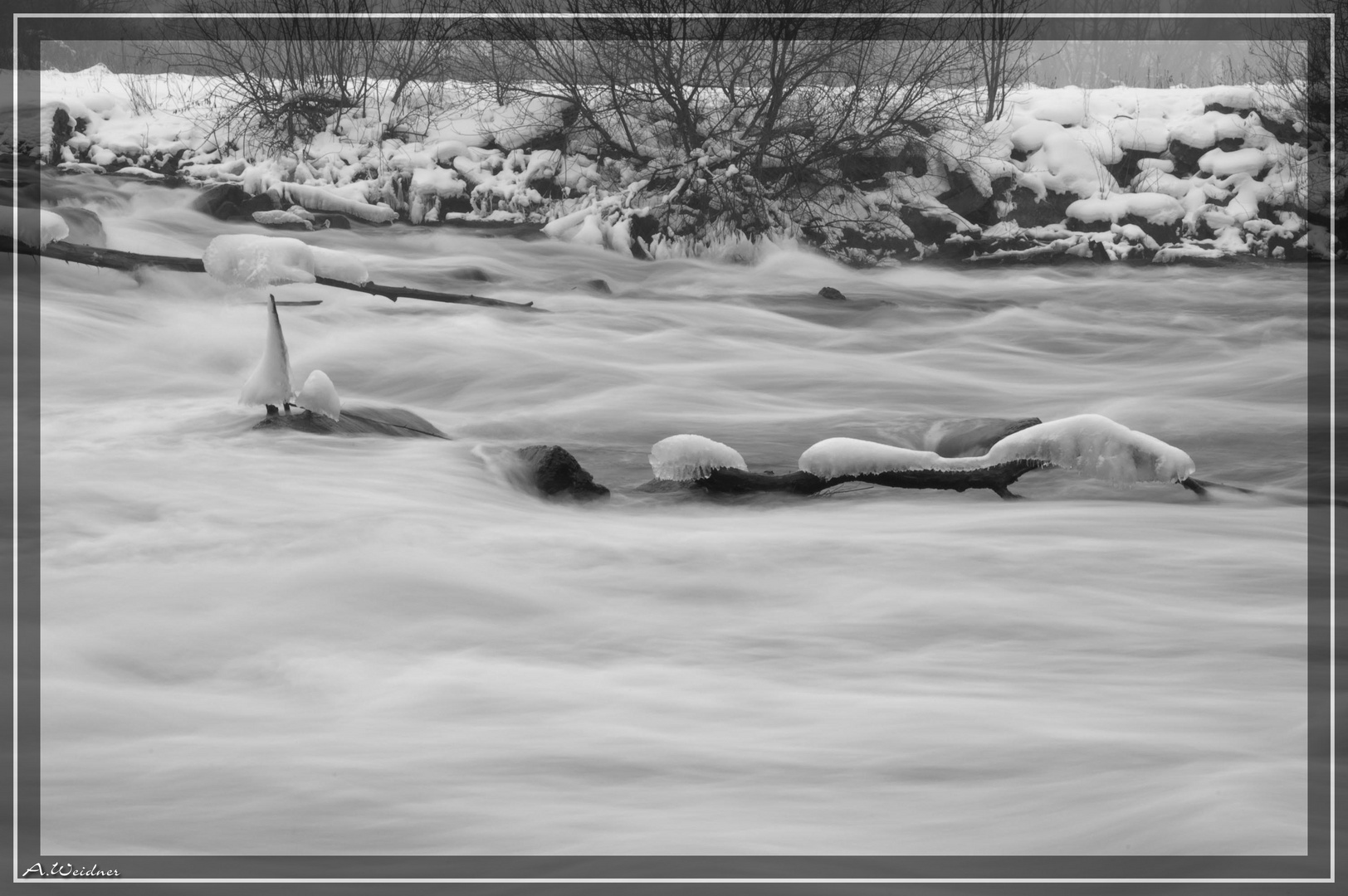 Die LEINE im Winterkleid