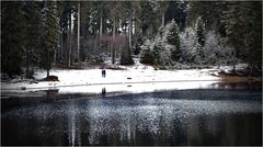 die leisen Winterfreuden ....