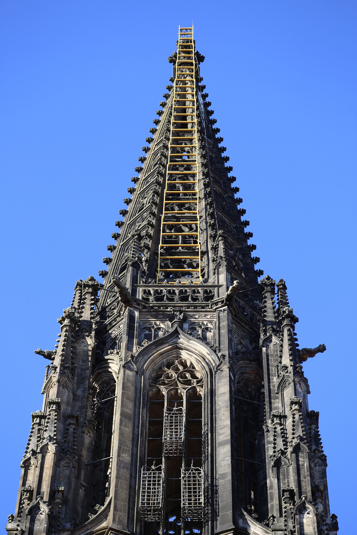 die Leiter in den Himmel ?