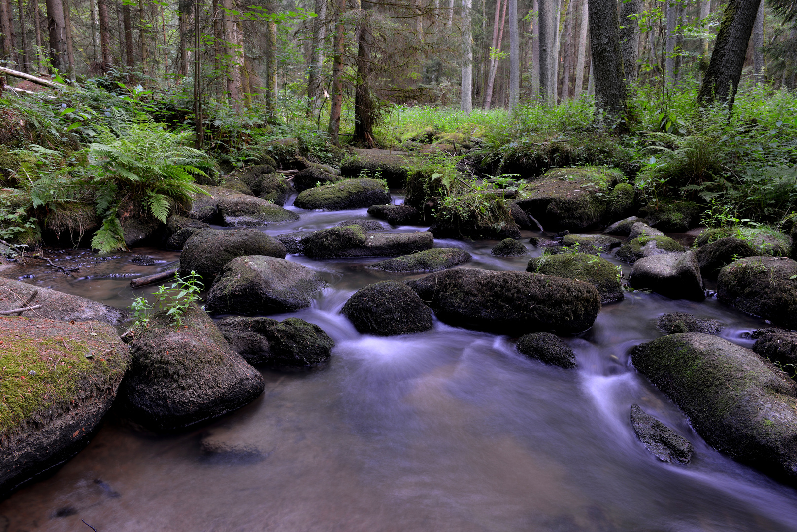 Die Lerau im schönen Lerautal