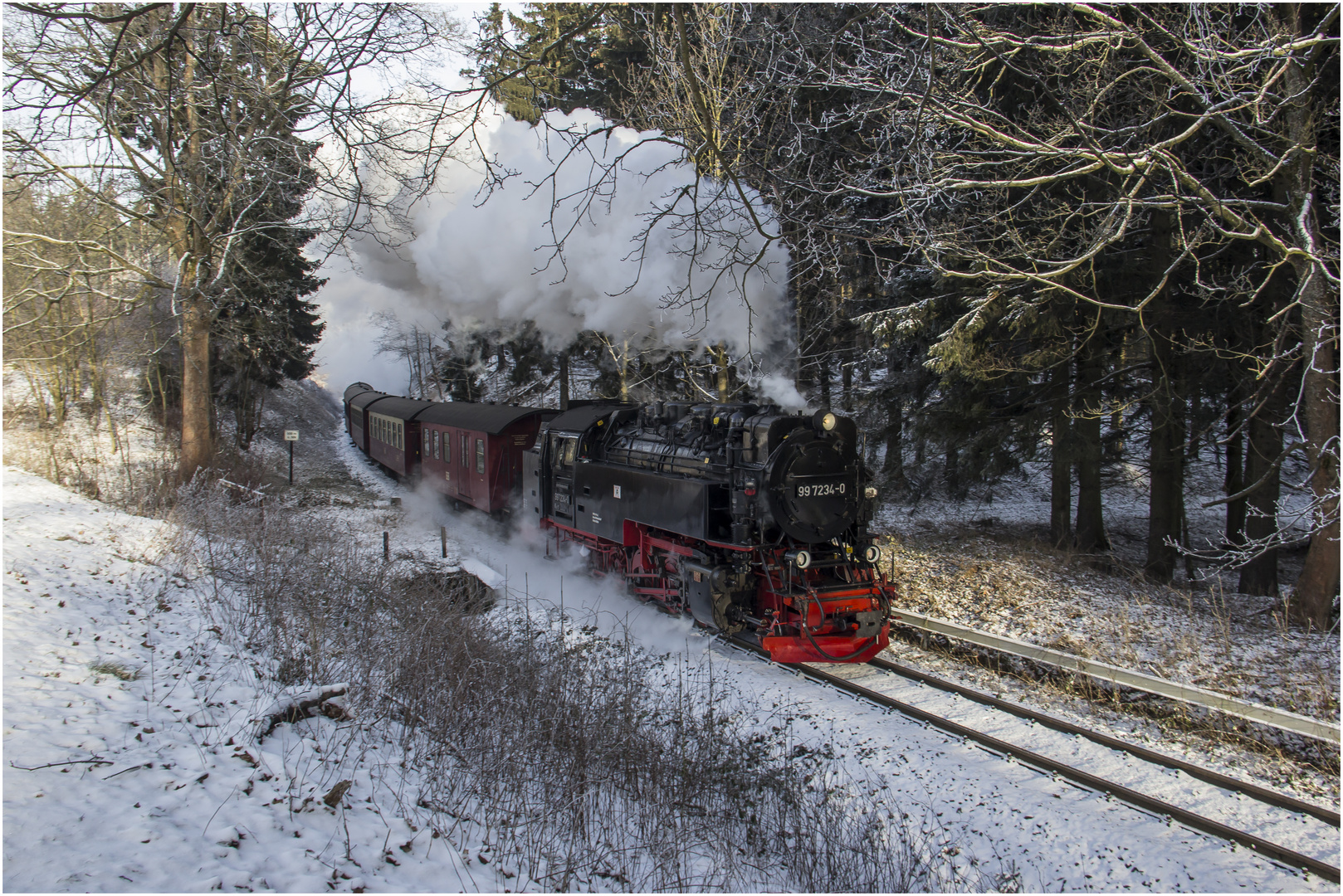 die letze lok im winter