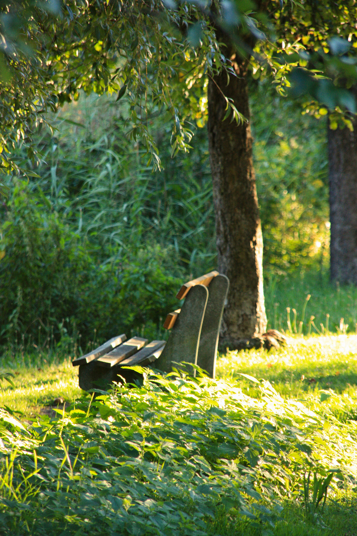 Die letzte Abendsonne am See