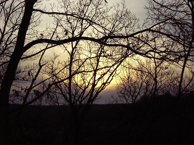 Die letzte Abendsonne vor dem Frühlingsanfang