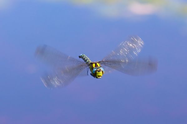 Die letzte dieses Jahr...