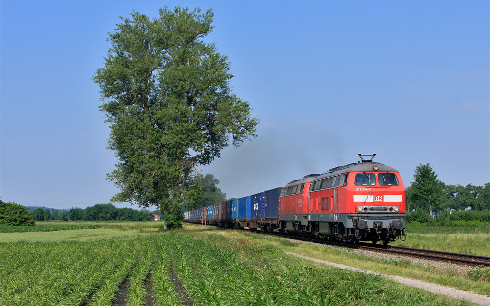 Die letzte "echte" 217 am Schachtelzug