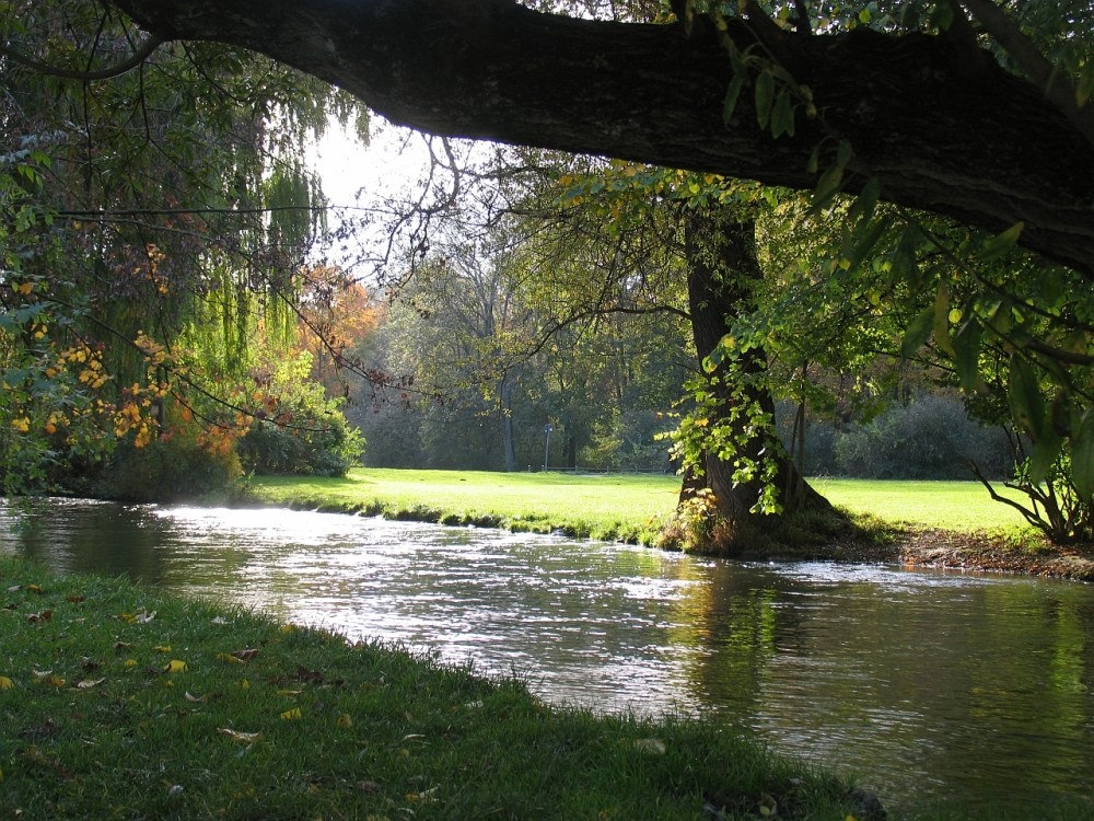 Die letzte Herbstsonne