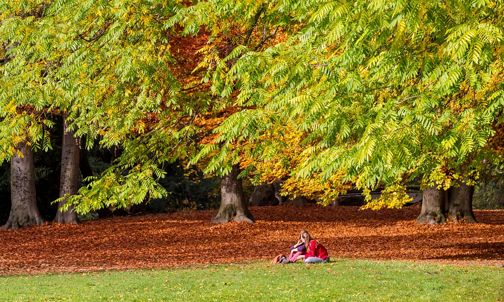 Die letzte Herbstsonne