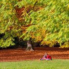 Die letzte Herbstsonne