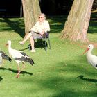 die letzte herbstsonne,mannheim luisenpark