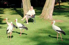 die letzte herbstsonne,mannheim luisenpark