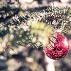 Die letzte Kugel am Baum