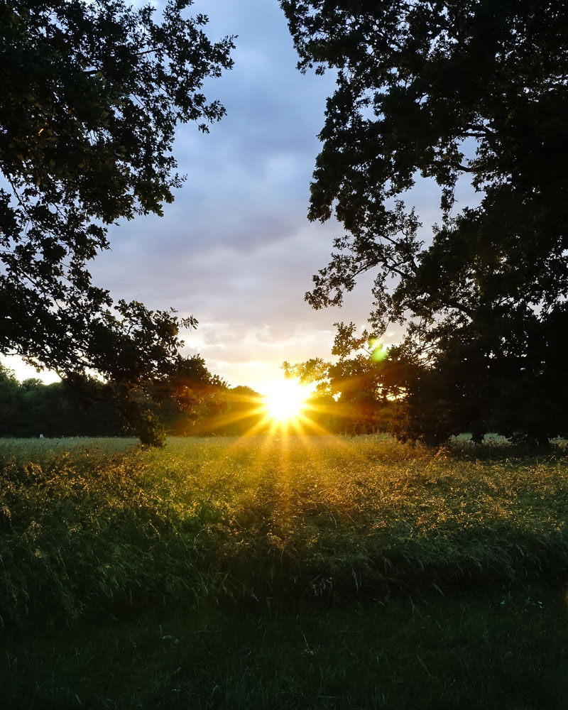 Die letzte Lücke Licht.