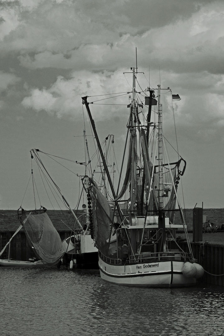 Die letzte Reise der "Hein Godewind"