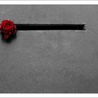 Die letzte Rose von Otzenrath ...