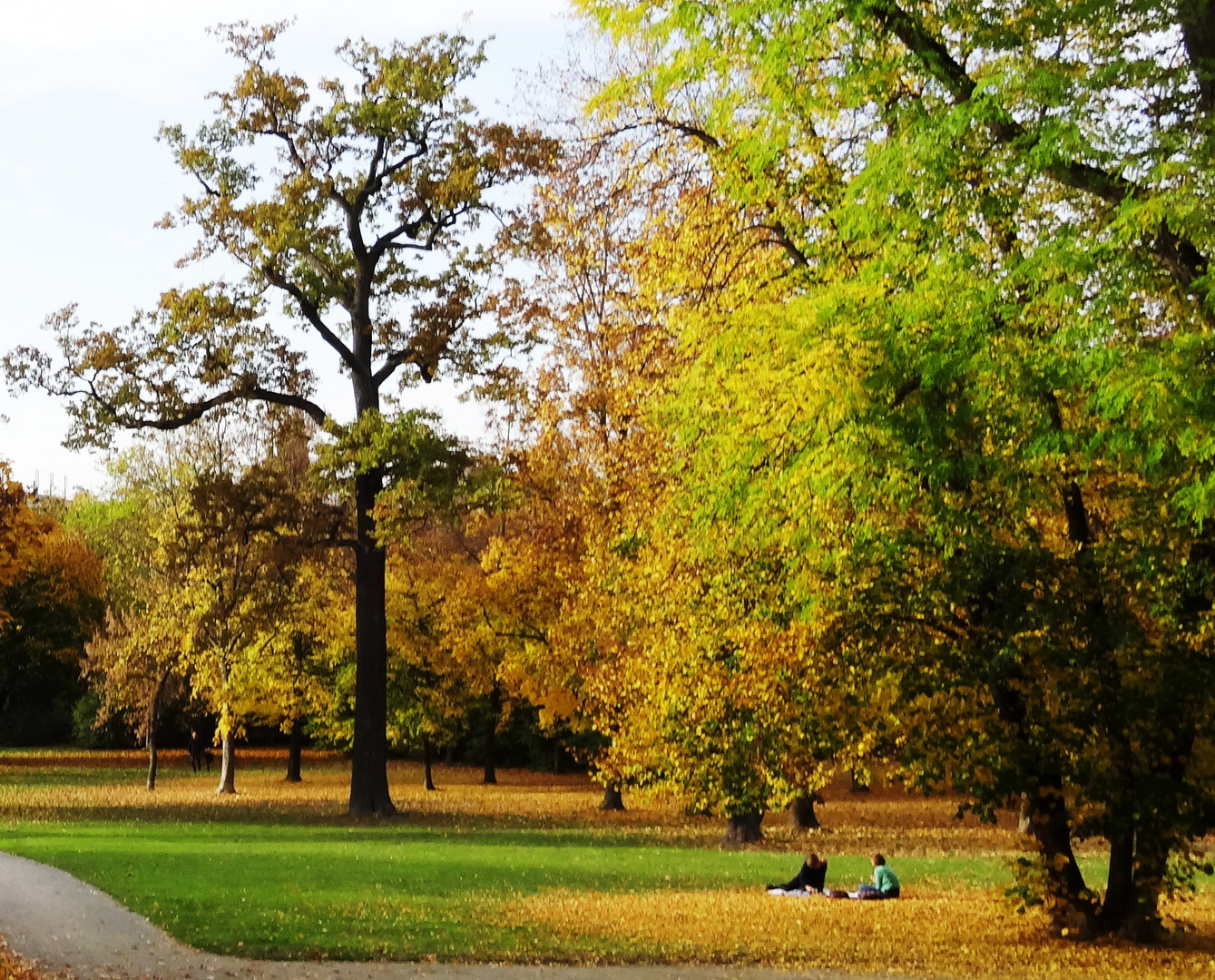 Die letzte Sonne