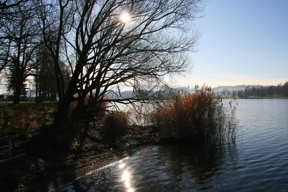 Die letzte Sonne