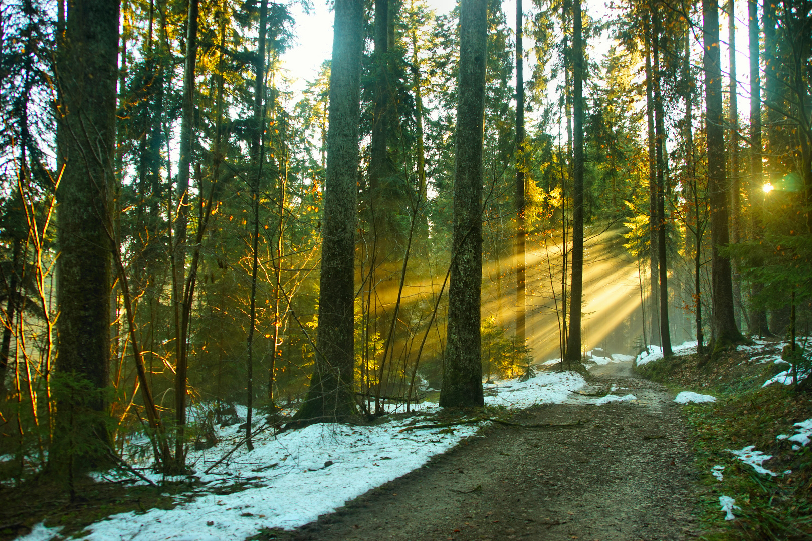 Die letzte Sonnenstrahl