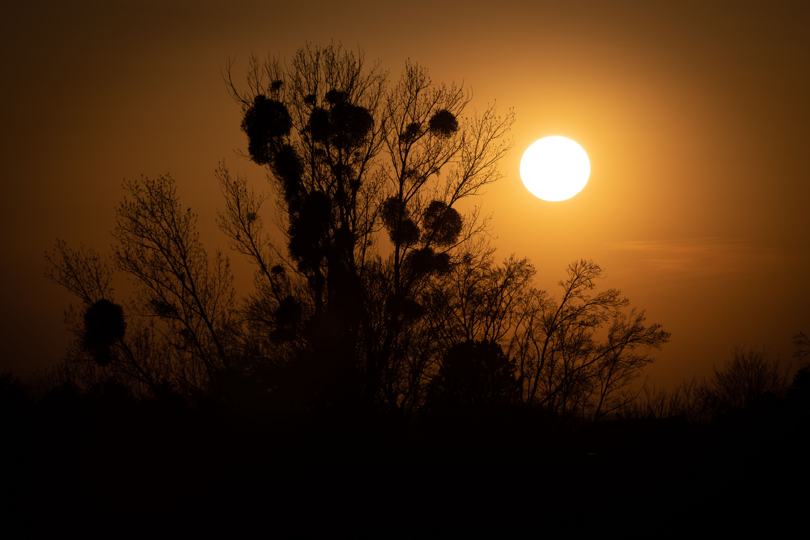 Die letzte Stunde vor dem Sonnenuntergang...