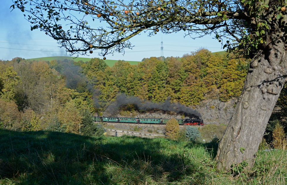 die letzten Äpfel des Herbstes...