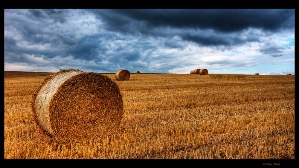 Die Letzten auf dem Feld.