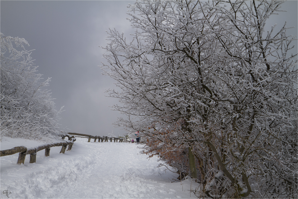 Die letzten Bilder des Winters ( 2 )