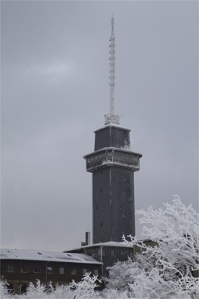 Die letzten Bilder des Winters ( 3 )