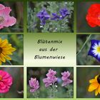 die letzten Blumen