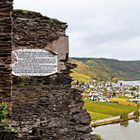 Die letzten Burgruinenblümchen