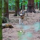 Die letzten drei Sekunden des Fotografen