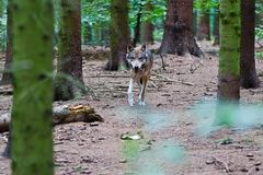 Die letzten drei Sekunden des Fotografen