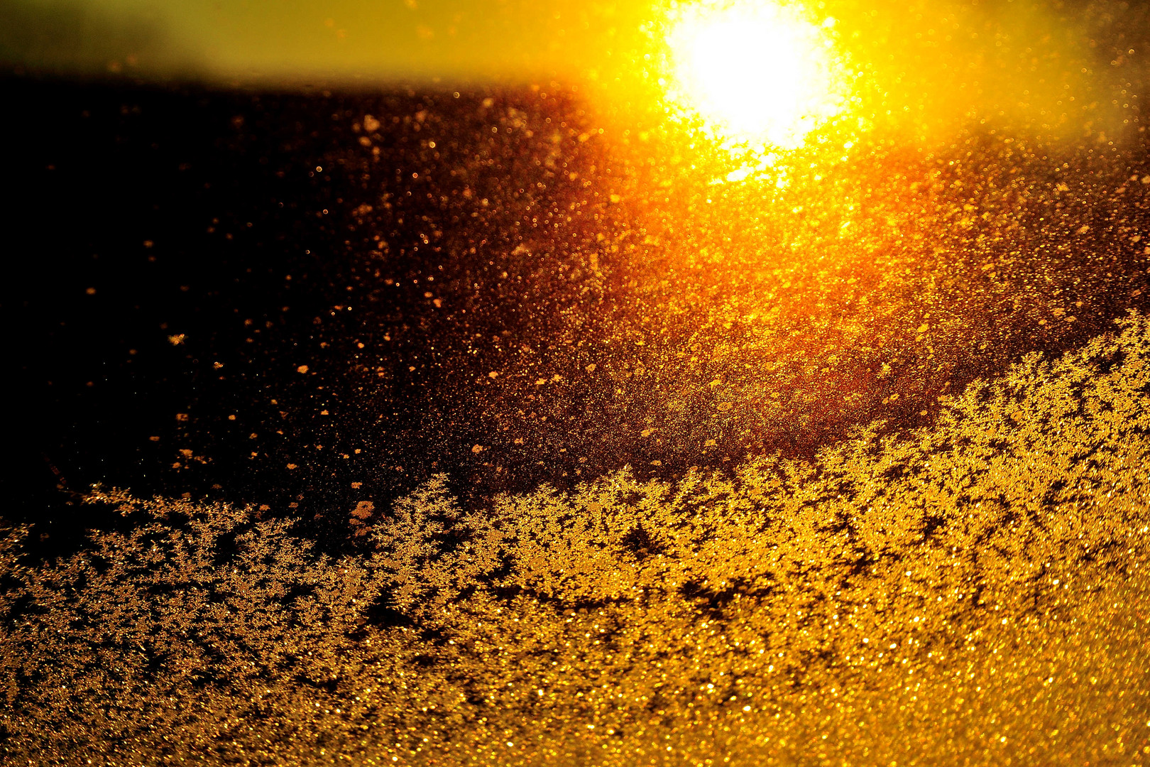 Die letzten Eiskristalle am Morgen