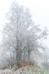 Die letzten Farben