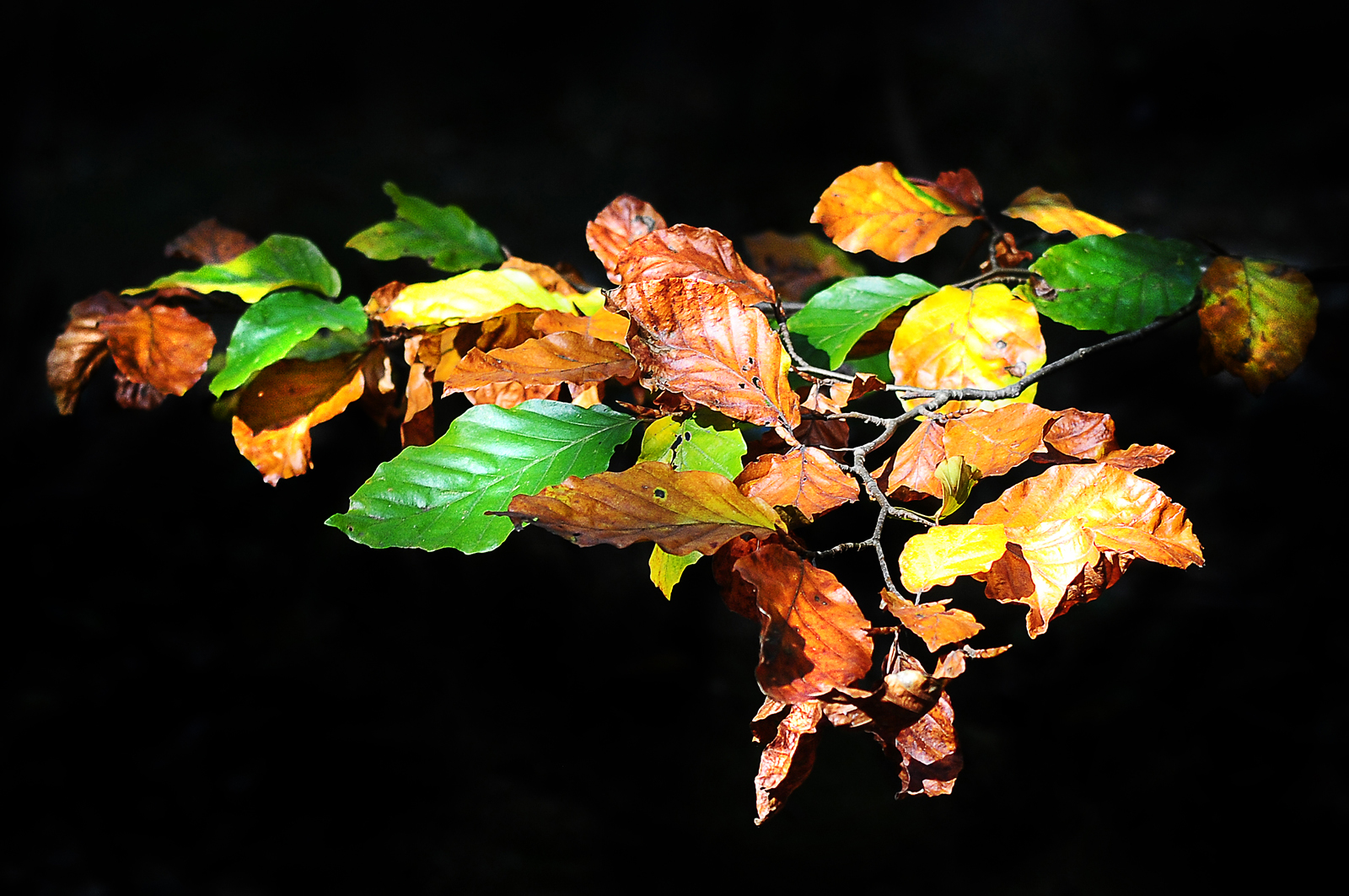 Die letzten Farben