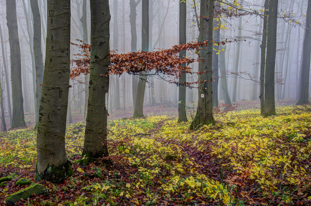 Die letzten Farben bevor der Schnee alles bedeckt