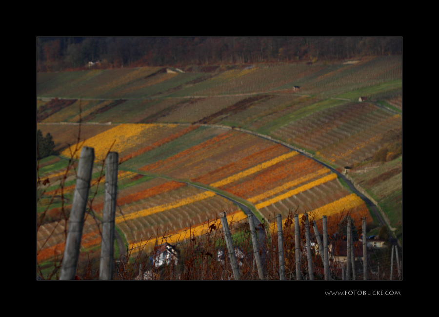 Die letzten Farben