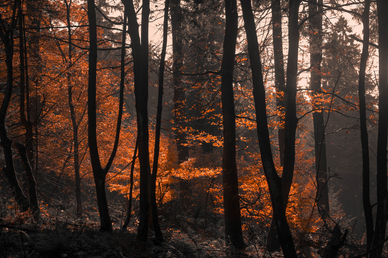 Die letzten Farben vor dem grauen Winter 2015