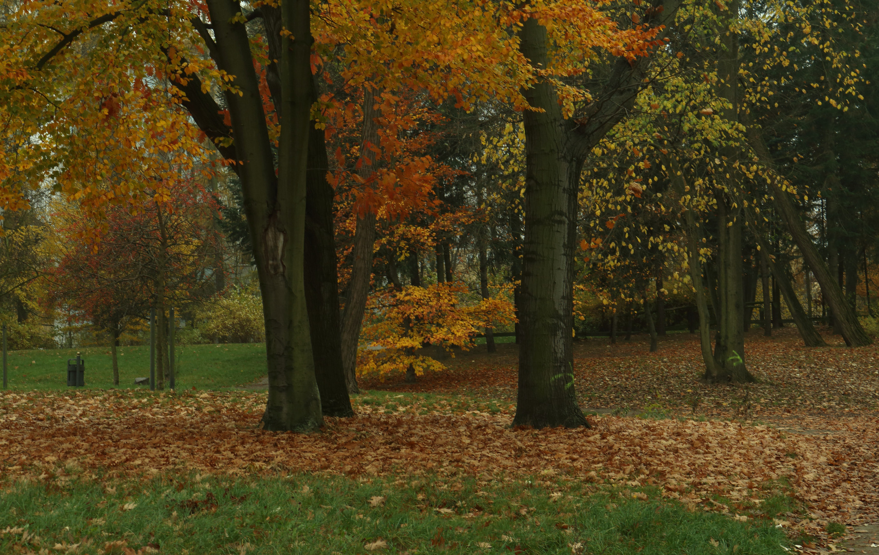 die letzten farbigen Herbsttage genießen