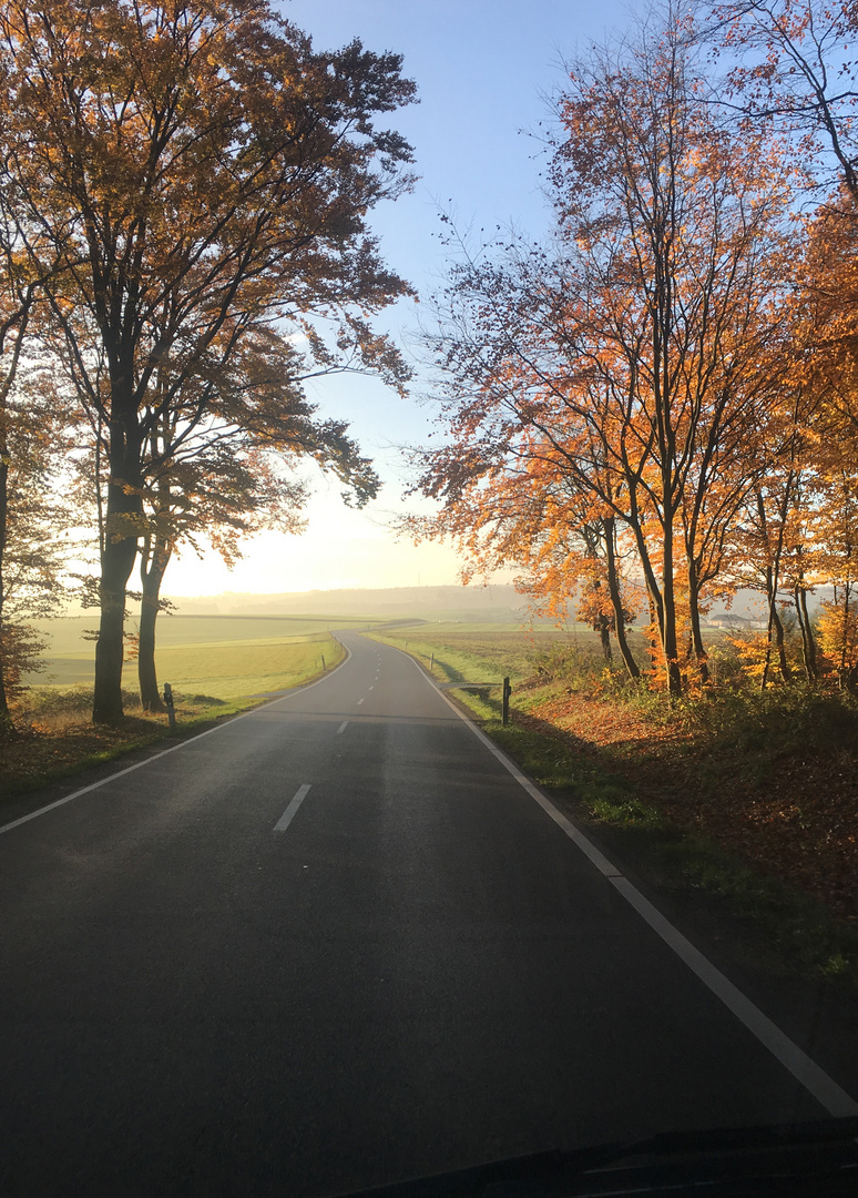 die letzten herbstbilder