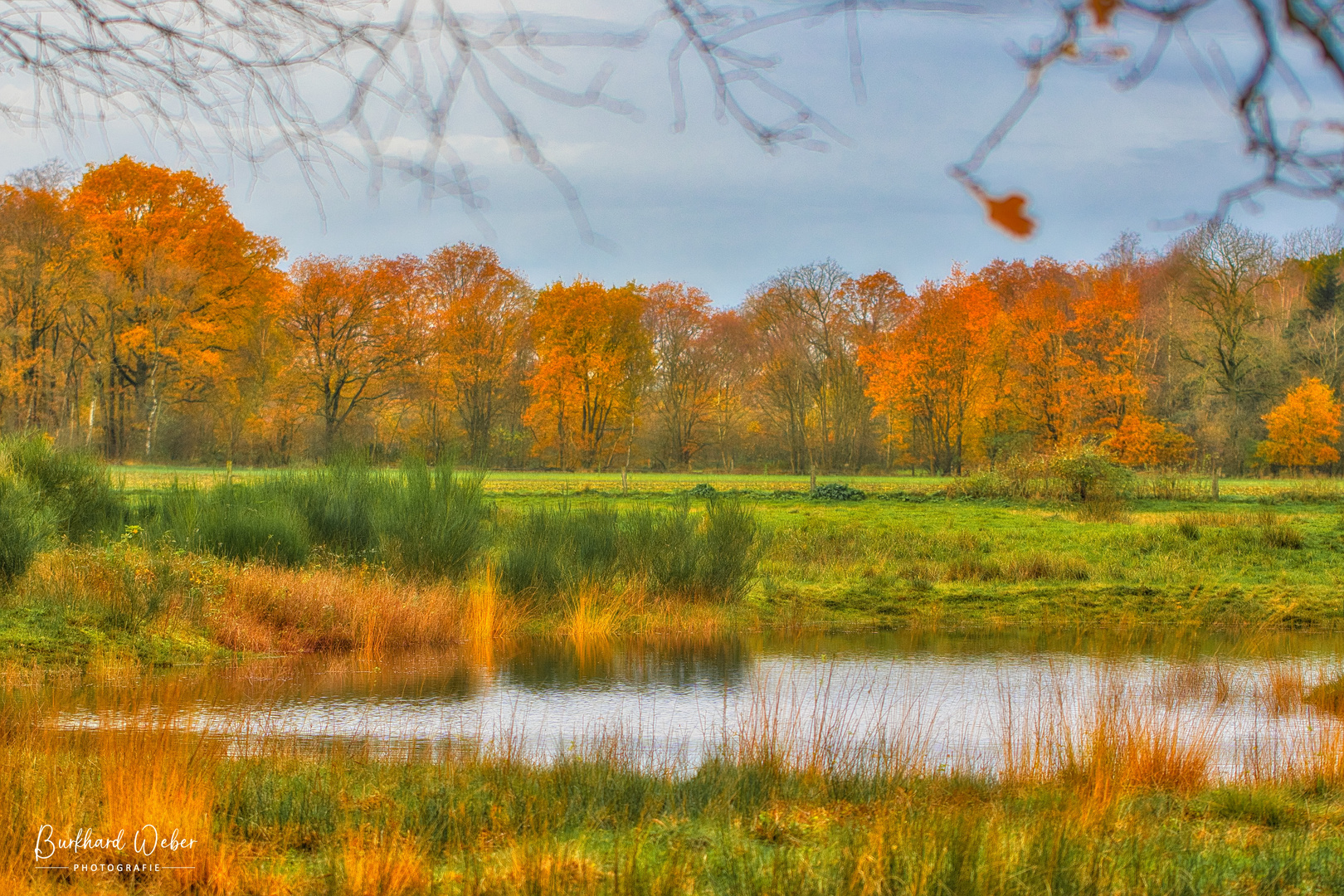 die letzten Herbstbilder des Jahres...