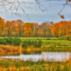 die letzten Herbstbilder des Jahres...