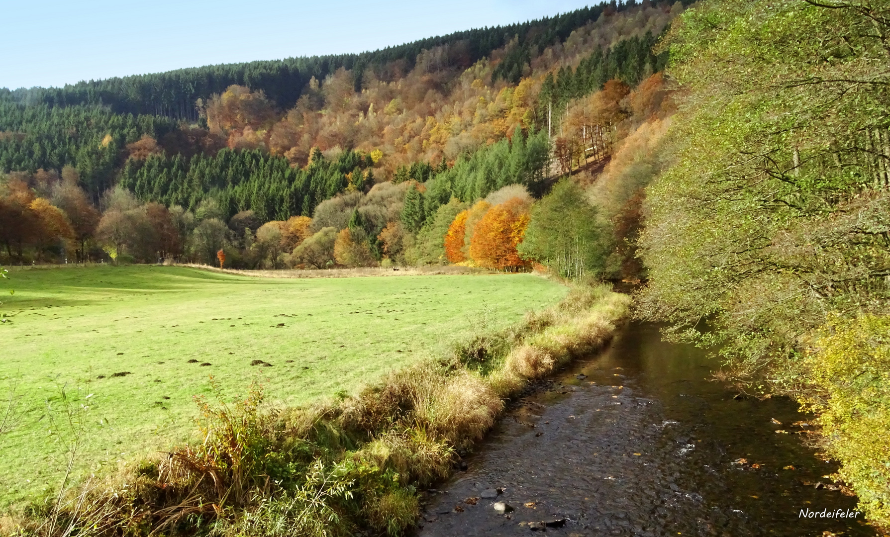 Die letzten Herbstfarben..