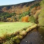 Die letzten Herbstfarben..