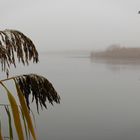 Die letzten Herbstfarben