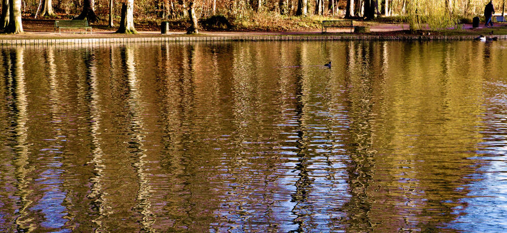 Die letzten herbstlichen Spiegelungen