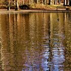 Die letzten herbstlichen Spiegelungen