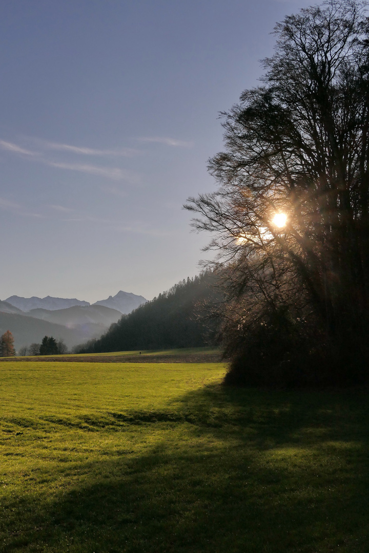 Die letzten herbstlichen Strahlen...