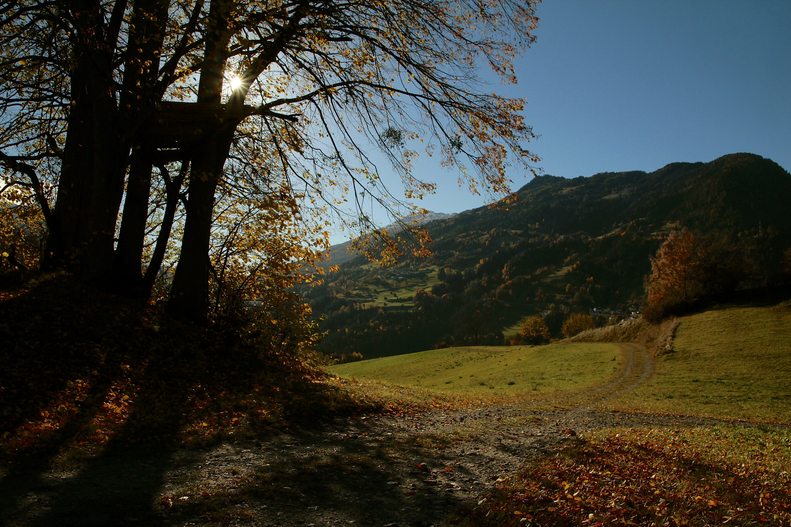 Die letzten Herbstmomente genießen...