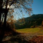 Die letzten Herbstmomente genießen...