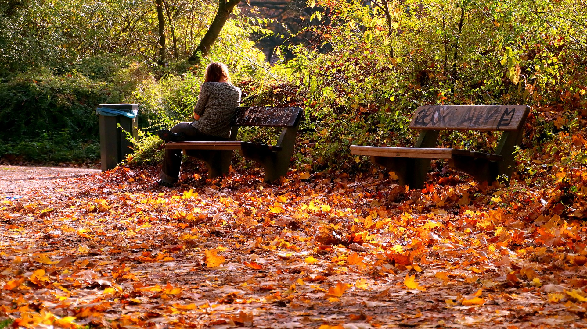 Die letzten Herbsttage